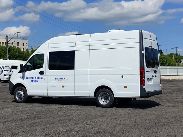 Автомобиль для перевозки собак на базе Газель Next